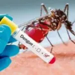 El Gobierno nacional vacunará contra el dengue en zonas endémicas del país