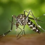 En la última semana se notificaron 2072 nuevos casos de dengue en Entre Ríos