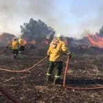 El fuego avanzó sobre 140 hectáreas de campos ubicados en la Ruta 12