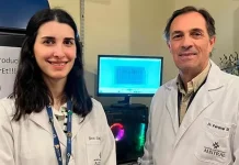 Científicos del CONICET lograron un importante avance para el tratamiento de la diabetes