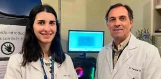 Científicos del CONICET lograron un importante avance para el tratamiento de la diabetes