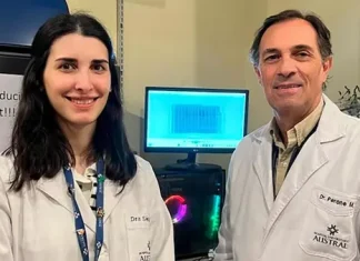 Científicos del CONICET lograron un importante avance para el tratamiento de la diabetes