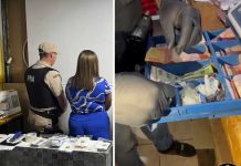 Una mujer detenida y droga hasta en la caja registradora. Policía y Prefectura allanaron en “La Histórica”