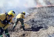 Entre Ríos prohíbe todas las quemas entre diciembre y febrero para prevenir incendios