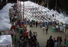 Chajarí: este sábado y domingo se realiza Exponavidad