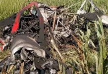 Una avioneta fumigadora se estrelló en un campo entrerriano: el piloto se salvó de milagro