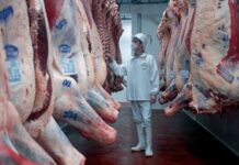 MILEI LO HIZO: El consumo de carne es el más bajo de los últimos 20 años