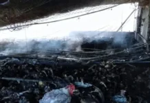 Voraz incendio destruyó un galpón avícola en Entre Ríos y causó una gran pérdida de animales