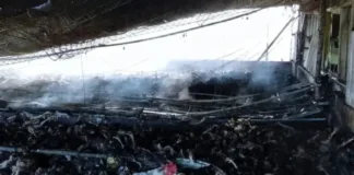 Voraz incendio destruyó un galpón avícola en Entre Ríos y causó una gran pérdida de animales