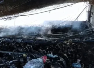 Voraz incendio destruyó un galpón avícola en Entre Ríos y causó una gran pérdida de animales