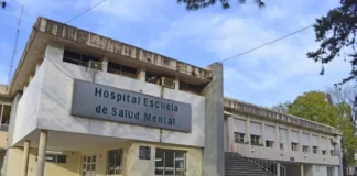 Reforma de la Ley de Salud Mental: los ejes del proyecto del Gobierno que ingresó al Senado