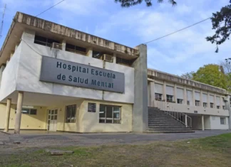 Reforma de la Ley de Salud Mental: los ejes del proyecto del Gobierno que ingresó al Senado