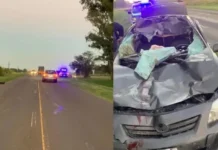 Ruta 12: un auto chocó contra un caballo y tres personas terminaron en el hospital