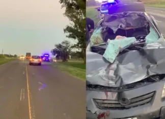Ruta 12: un auto chocó contra un caballo y tres personas terminaron en el hospital
