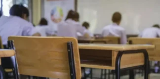 Proponen una ley para prohibir en Entre Ríos el uso de celulares en los niveles obligatorios de educación