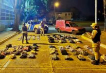 Evitaron que contrabandearan una millonaria carga de ropa desde playa Los Tomates a Salto