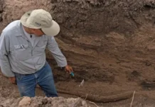 Identificaron nuevos restos de desaparecidos por la dictadura en Córdoba
