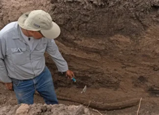 Identificaron nuevos restos de desaparecidos por la dictadura en Córdoba