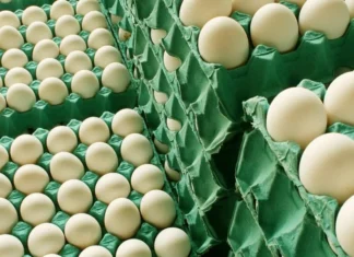 En 15 días, la avicultura argentina agotó la cuota de exportación de huevos a Europa