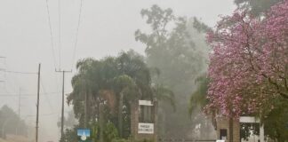 Así estará el tiempo durante este sábado en Concordia y la región