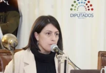 “La reforma previsional garantiza el 82% móvil y busca ordenar el sistema para sostenerlo en el tiempo”, expresó Laner