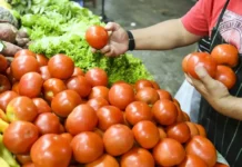 Las verduras aumentaron 33,4 % en mayo respecto a abril, según un informe