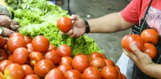 Las verduras aumentaron 33,4 % en mayo respecto a abril, según un informe