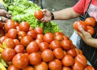Las verduras aumentaron 33,4 % en mayo respecto a abril, según un informe