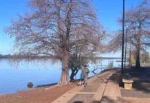 El río Uruguay también refleja altos niveles en el puerto de Concordia