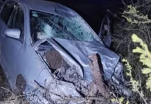 Un automóvil colisionó con un bovino y su conductor debió ser trasladado a Concordia