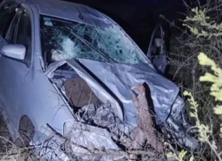 Un automóvil colisionó con un bovino y su conductor debió ser trasladado a Concordia