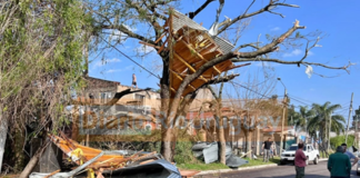 Tormenta provocó graves destrozos y dejó a toda Concordia y la zona sin luz