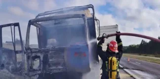 Se incendió un camión cargado con aserrín en la Autovía 14