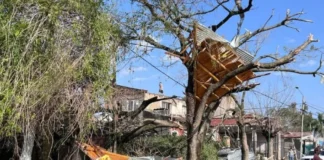 Piden declarar la emergencia en Concordia tras el temporal que causó una muerte y graves pérdidas materiales