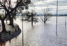 Aclaran que la crecida del río Uruguay no tiene vinculación directa con El Niño