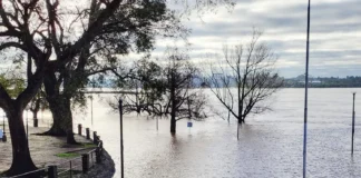 Aclaran que la crecida del río Uruguay no tiene vinculación directa con El Niño