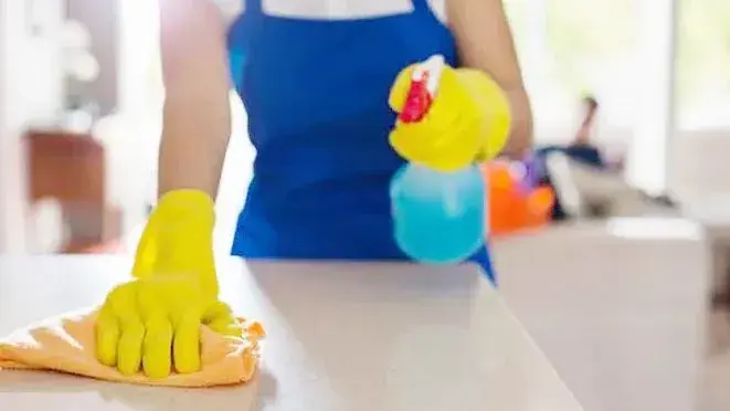 empleadas_domesticas