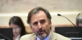 El senador libertario Joaquín Benegas Lynch tiene una empresa que gestiona ventas de tierras a extranjeros