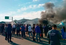 Granja Tres Arroyos extiende el cierre de plantas y busca reestructurar una deuda de 350 millones de dólares