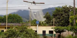 Fumigaciones bajo la lupa: un estudio detectó más abortos espontáneos e hipotiroidismo