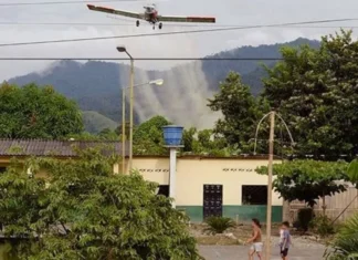 Fumigaciones bajo la lupa: un estudio detectó más abortos espontáneos e hipotiroidismo