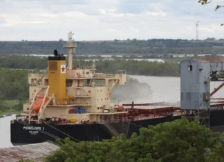 Entre Ríos lidera el transporte fluvial de granos del país: concentra nueve de cada 10 toneladas