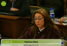 Tras la expulsión de su esposo Daniel Rossi del PJ, la senadora Patricia Díaz abandonó el bloque