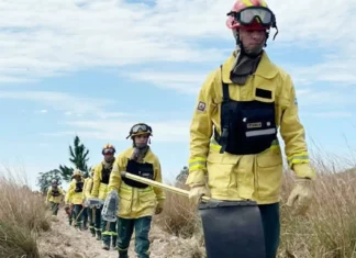 Entre Ríos avanza en la capacitación para el uso del fuego como herramienta de gestión ambiental
