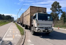 El camionero que chocó contra una zorra en Concordia contó cómo ocurrió el accidente