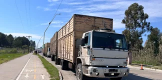 El camionero que chocó contra una zorra en Concordia contó cómo ocurrió el accidente