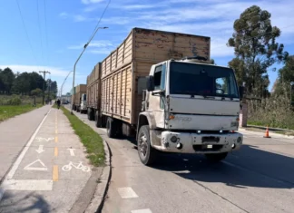 El camionero que chocó contra una zorra en Concordia contó cómo ocurrió el accidente
