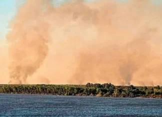 Volvieron los incendios en las islas entrerrianas frente al Gran Rosario