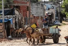 Nuevamente, Concordia fue la ciudad más pobre del país: 56,2% en el primer trimestre del año