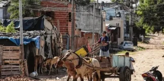 Nuevamente, Concordia fue la ciudad más pobre del país: 56,2% en el primer trimestre del año